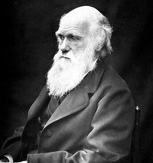 1470904739157741.jpg Charles.jpg